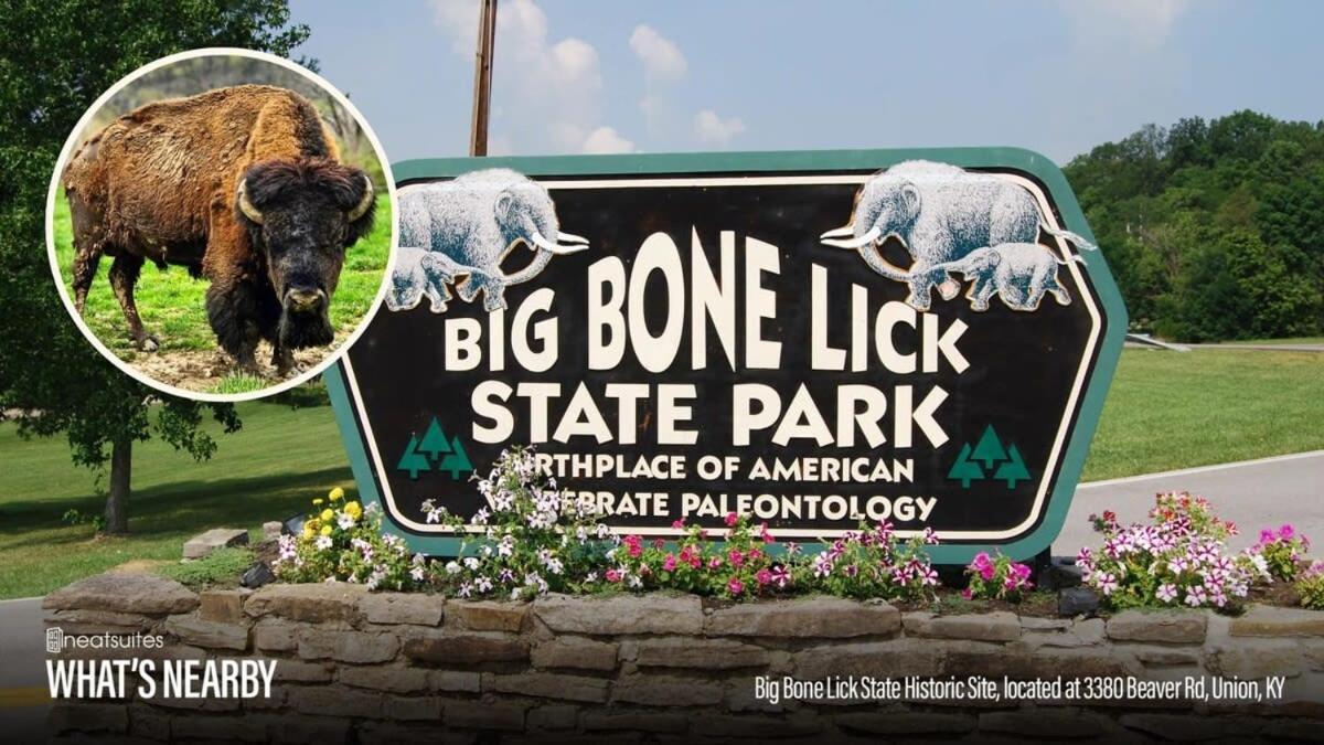 Big Family Lodge Near Ark Sleeps 16 威廉斯敦 外观 照片